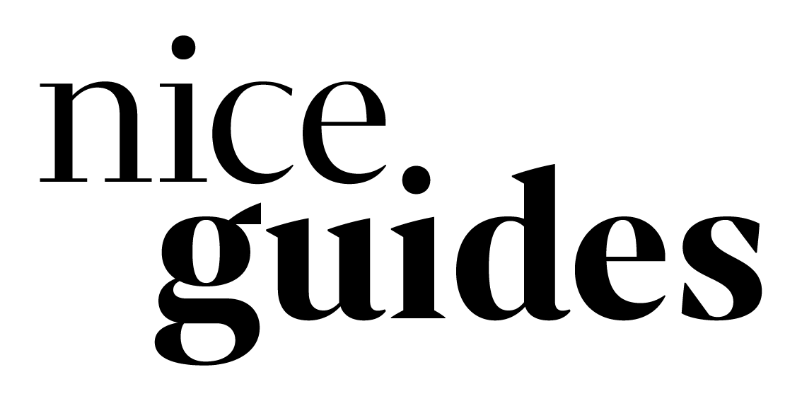 niceguides Logo